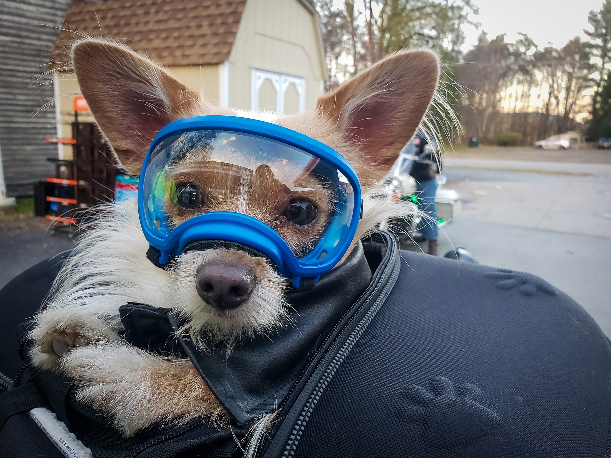 Our co-pilot